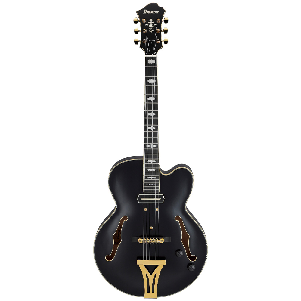 Ibanez PM3C-BKL Pat Metheny Signature Siyah Hollow Body Elektro Gitar